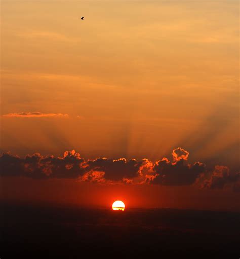 Fotos gratis : mar, horizonte, nube, cielo, amanecer ...