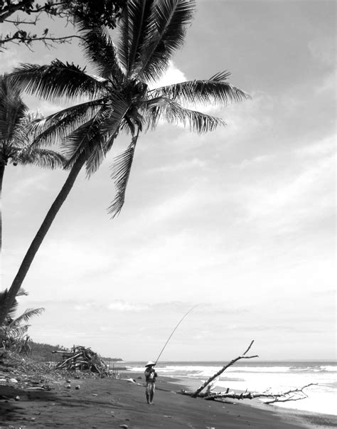 Fotos gratis : playa, mar, costa, árbol, Oceano, en blanco y negro ...