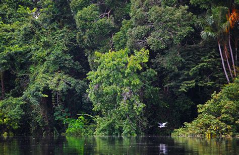 Fotos incríveis da Amazônia...   Belezas Naturais