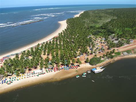 Fotos incríveis da Praia do Gunga em Alagoas   Belezas ...