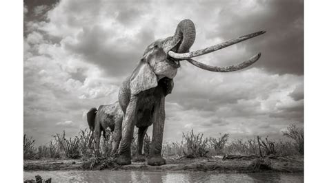 FOTOS | Las imágenes ganadoras de los premios Mejor Fotógrafo de Viajes ...