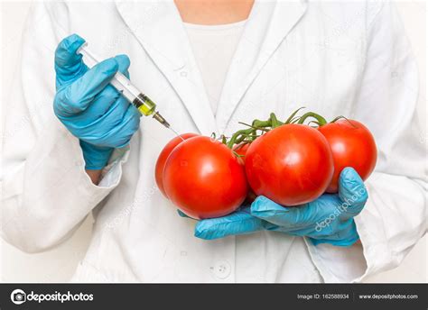 Fotos: tomates transgenicos | Científico de transgénicos inyectando el ...