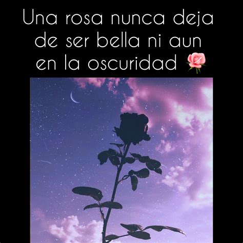 Frase motivadora para compartir   Una rosa en la oscuridad   X imagen