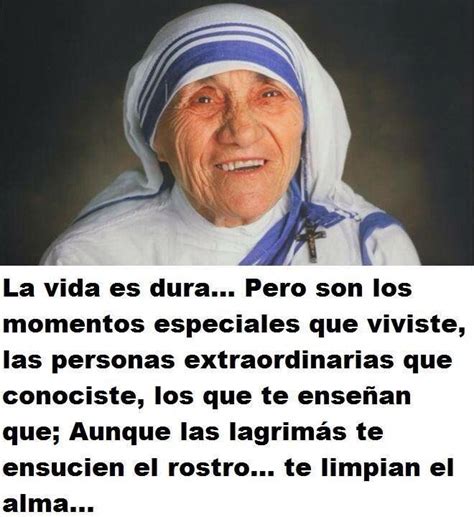 Frases | Best quotes ever, Italian quotes, Mother teresa