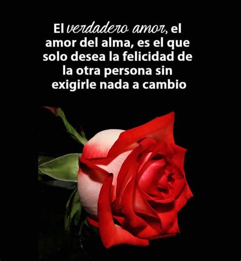 Frases con rosas rojas de amor | Alos80.com