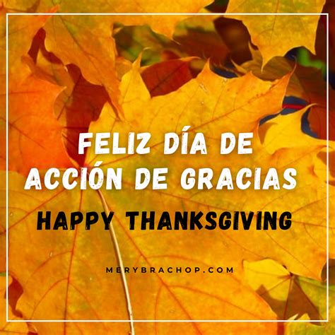 Frases Cortas de Agradecimiento en Thanksgiving. Feliz día de Acción de ...