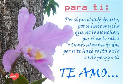 Frases de amor en español para mi esposo   Imagui