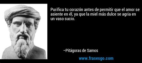 frases de pitagoras   Google Search | Terapias naturales, Frases de ...