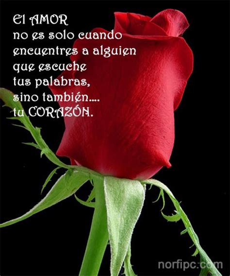 Frases del corazón para expresar amor y sentimientos en ...