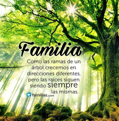 #frases #familia #amor www.familias.com | Frases de amor ...