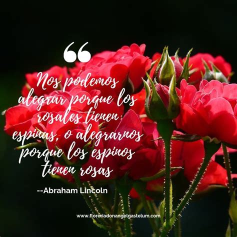 Frases / Flores | Quotes, Plants, Flowers