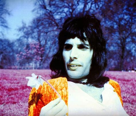 Freddie Mercury  fotos tomadas por Joseph Stevens en 1974 ...