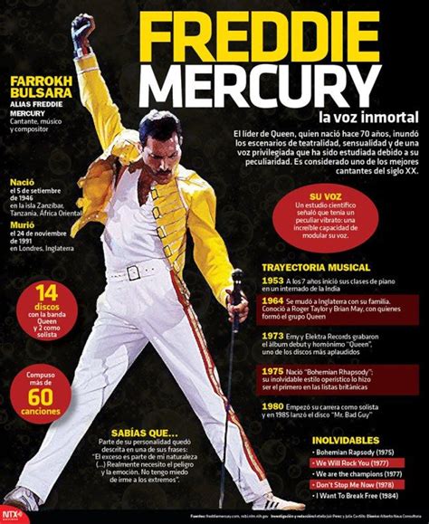freddie mercury infografia | Freddie mercury, Human icon ...