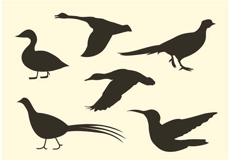 Free Bird Vector Silhouette Pack   Download Free Vectors ...