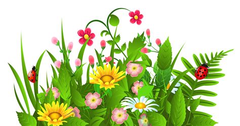 Free clip art graphics flowers free flower clipart cards ...