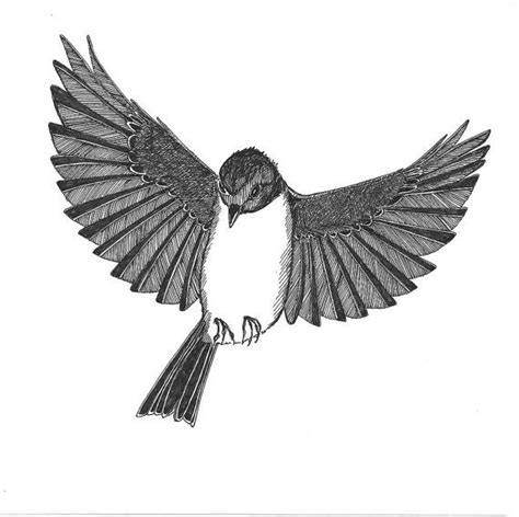 Free Flying Bird Drawing, Download Free Clip Art, Free ...