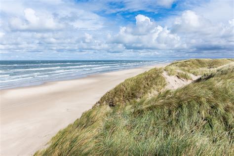 Free Images : beach, grass, sand, ocean, horizon, cloud ...