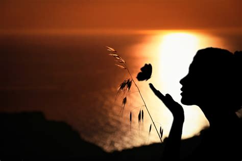 Free Images : woman, butterfly, romantic, panoramic ...