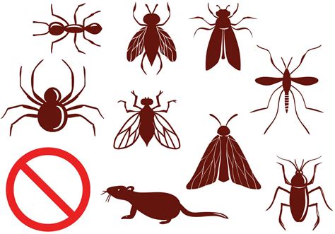 Free Pest Control Vectors   Download Free Vectors, Clipart ...