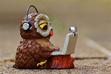 Free photo: Owl, Computer, Headphones, Funny   Free Image ...