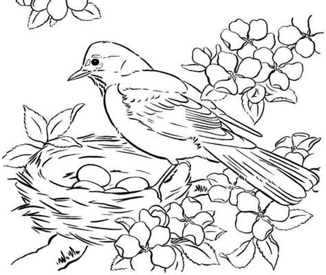 Free Printable Adult Coloring Pages Birds   Get Coloring Pages