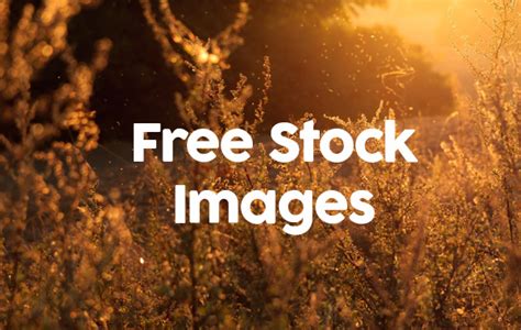 Free stock photography stock photo File Page 13 ...