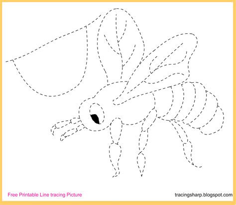 Free Tracing Line Printable: Bee Tracing Picture