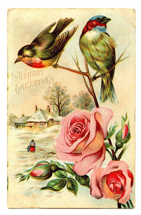Free Vintage Clip Art   Birds with Roses   The Graphics Fairy