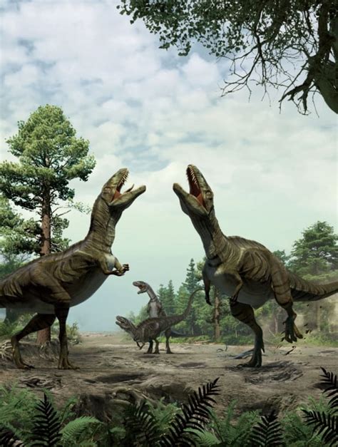 Frenzied  dinosaur mating ritual may have left marks in ...