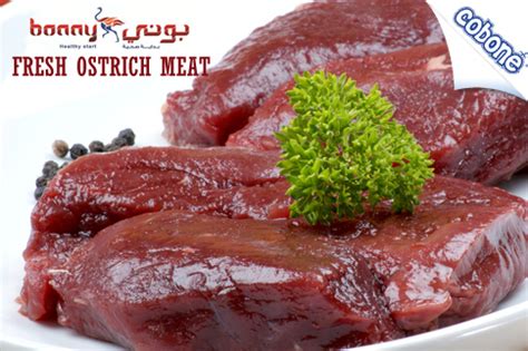 Fresh & Healthy Ostrich Meat
