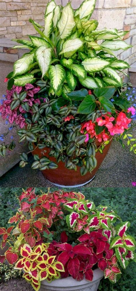 Front Porch Flower Planter Ideas 32 | Garden plant pots, Plants, Shade ...