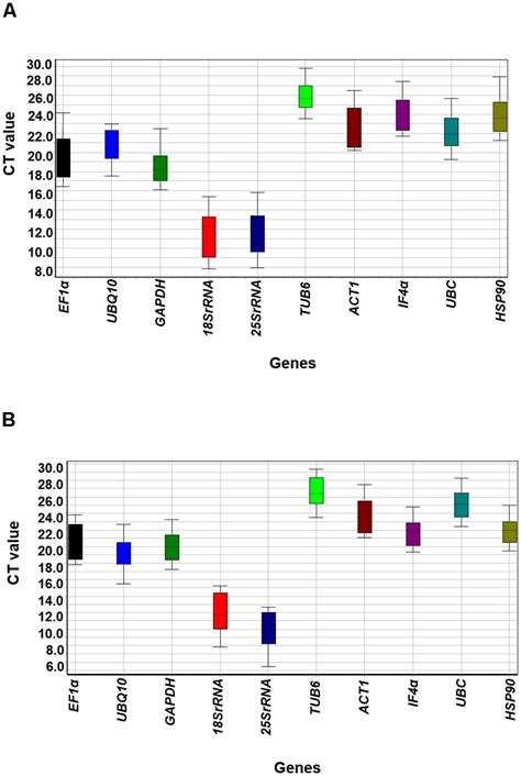 Frontiers | Selection and Validation of Housekeeping Genes ...