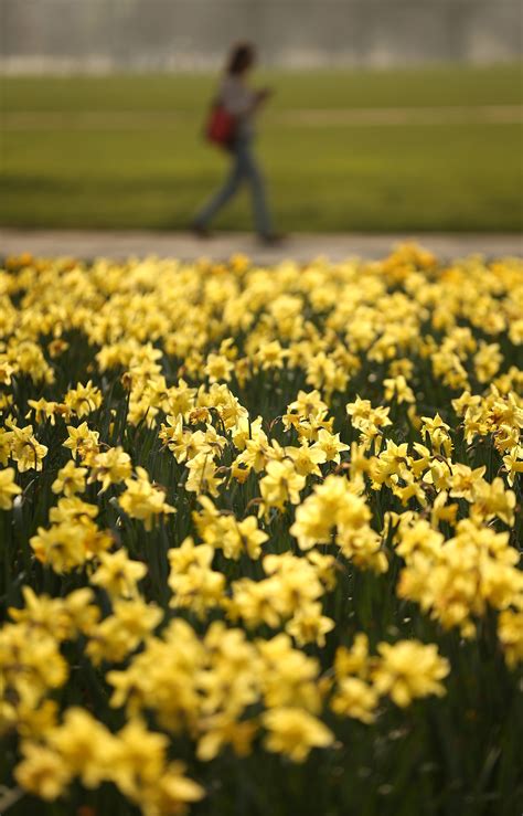 Frühling   Zeit zu einem Spaziergang in der Natur. Foto: Getty Images