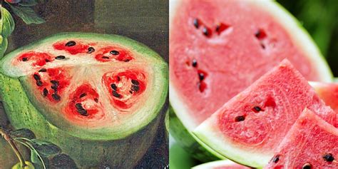 Fruits and vegetables before and after human domestication ...