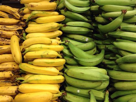 Fruits of Ecuador: 5 Types of Banana   The Russian Abroad