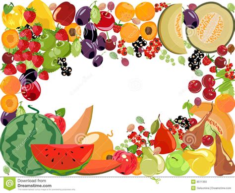 Fruits,vector stock vector. Illustration of diet, floral ...