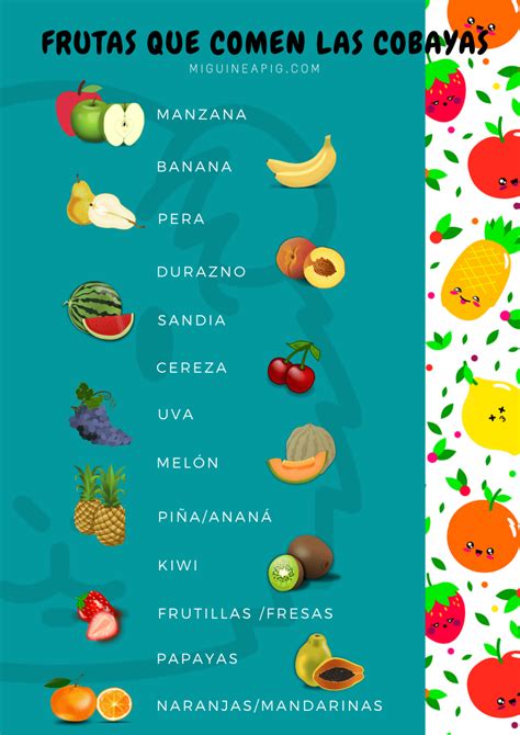 Frutas que comen las cobayas •  • Mi·Guinea Pig