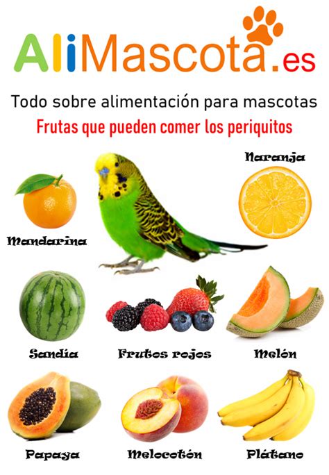 Frutas y verduras para periquitos   ALIMENTACIÓN PARA MASCOTAS