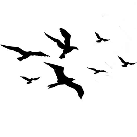 ftestickers birds silhouette flock animal bird...