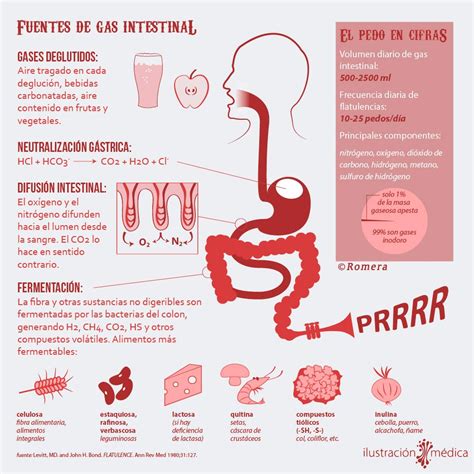 Fuentes de gas intestinal   INVDES