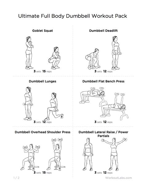Full Body Dumbbell Workout Routine At Home Pdf | Kayaworkout.co