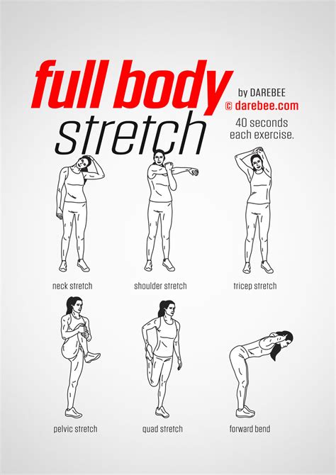 Full Body Stretch | Stretches before workout, Workout warm ...