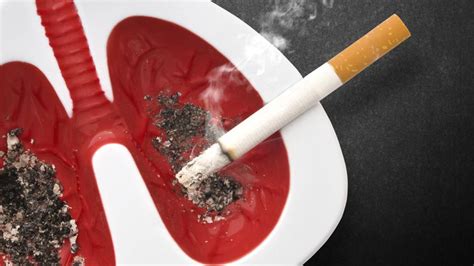Fumar un solo cigarrillo al día aumenta un 64% las probabilidades de ...