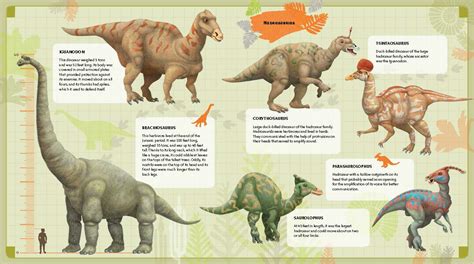 Fun Dinosaur Facts | Quarto Knows Blog
