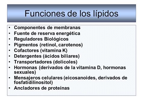 Función de los lípidos en el organismo   Ejemplos De