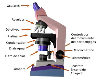 FUNCIONAMIENTO Y PARTES   microscopiojcr