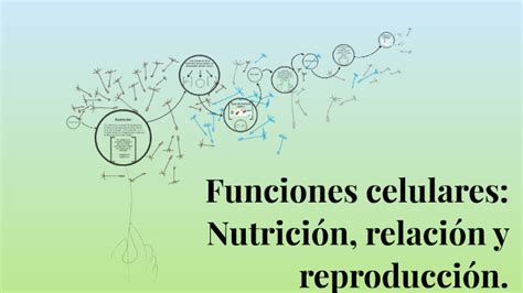 Funciones celulares: Nutrición, relación y reproducción. by Gabriela Guerra