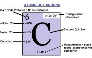 Funciones del carbono