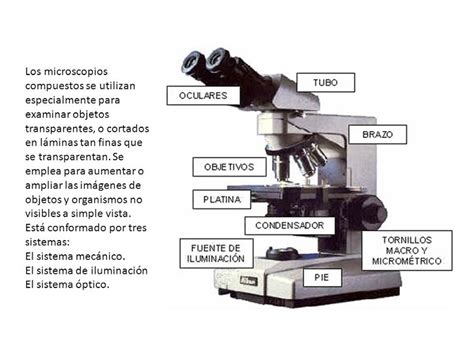 Funciones del microscopio