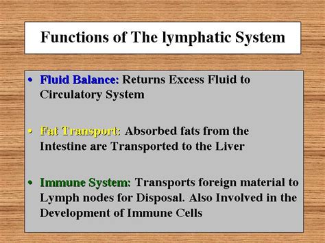 Functions of The lymphatic System